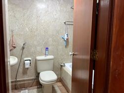 Harbourlights (D4), Apartment #487568291